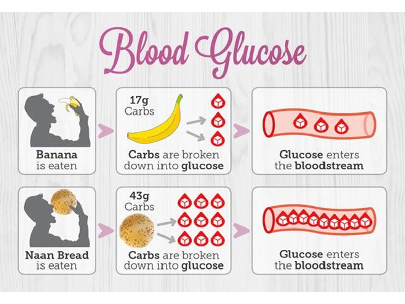 Sugar and starch raise blood glucose levels