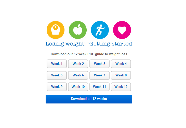 weight-loss-programmes-preventing-diabetes