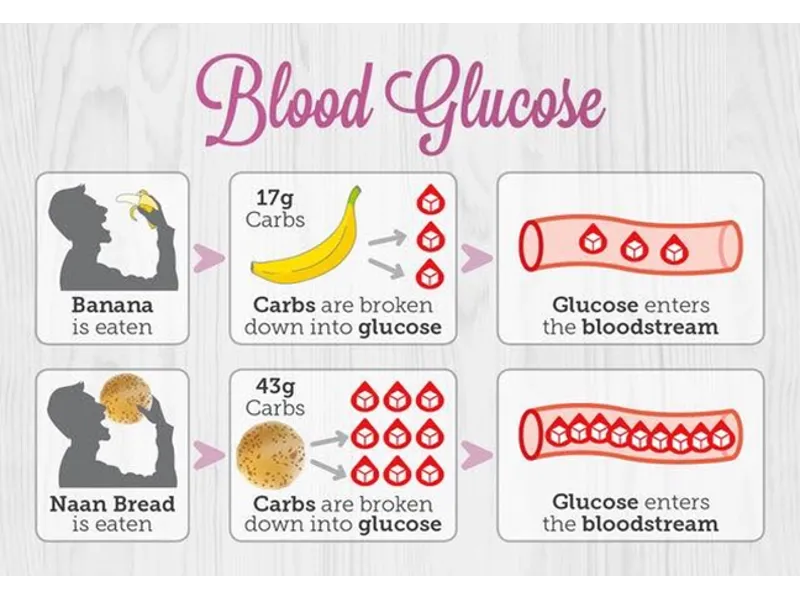 Understanding carbohydrates - food_sugar (1)