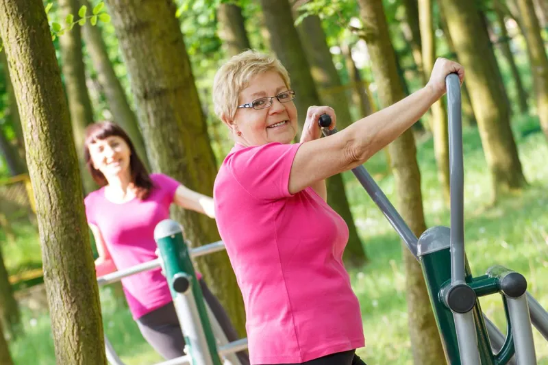 People using outdoor exercise equipment