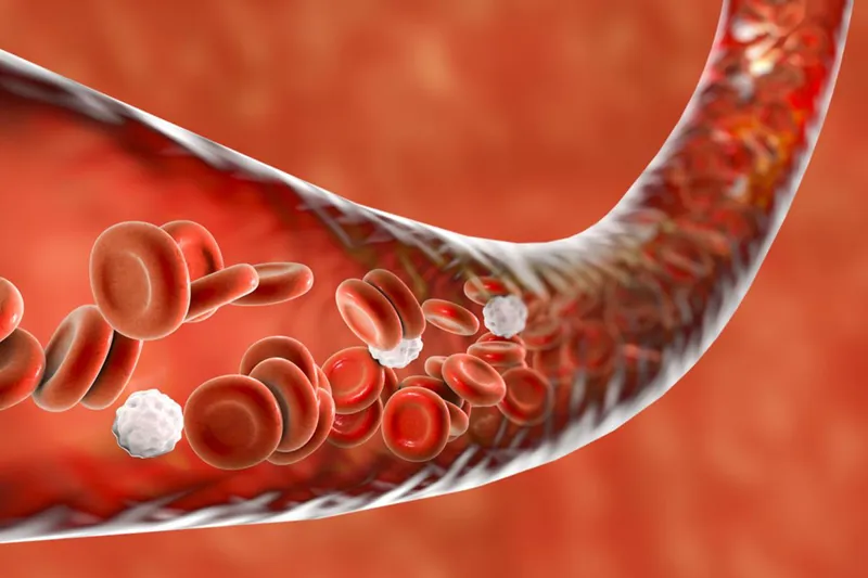 Illustration of red blood cells flowing through a vessel