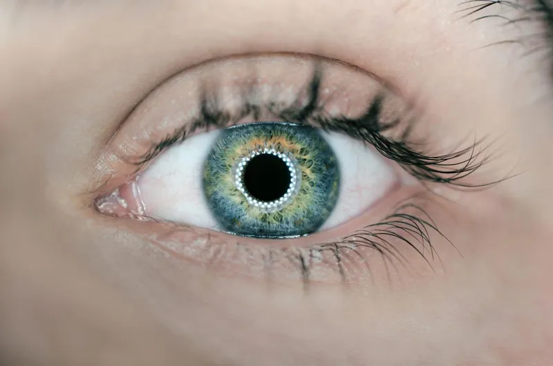 Close up of a green eye