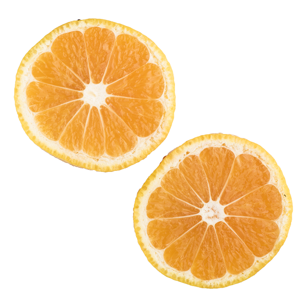 satsuma slices