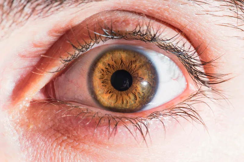 Polish - eyesretino2 (1)