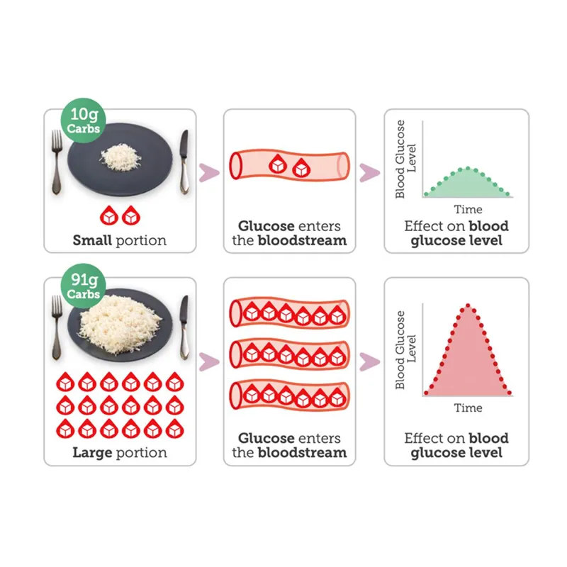 A small and a large rice portion compared, and their effect on blood glucose