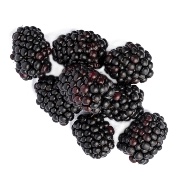 blackberries