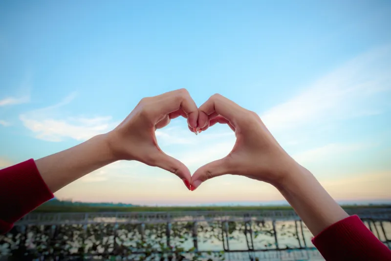 Health tools - heart-hands (1)