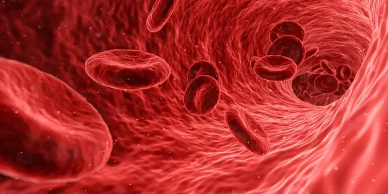 blood-1813410__340 (old site media 5698)