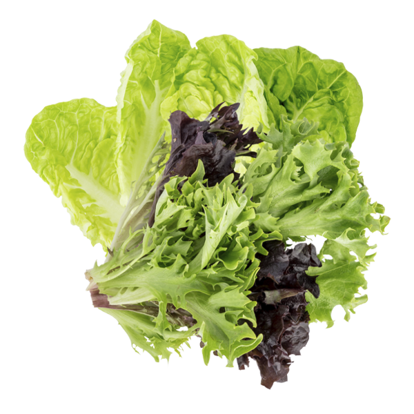 salad leaves