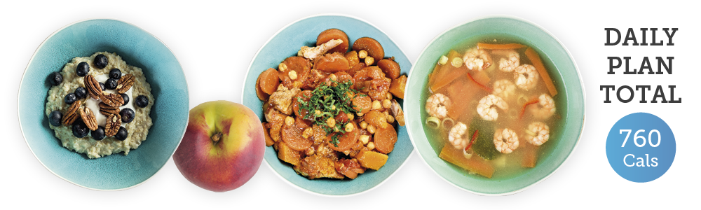 3 example meals and snack totalling 760 cals