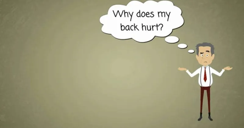 Sound Doctor Films - why-have-i-got-back-pain-360 (1)