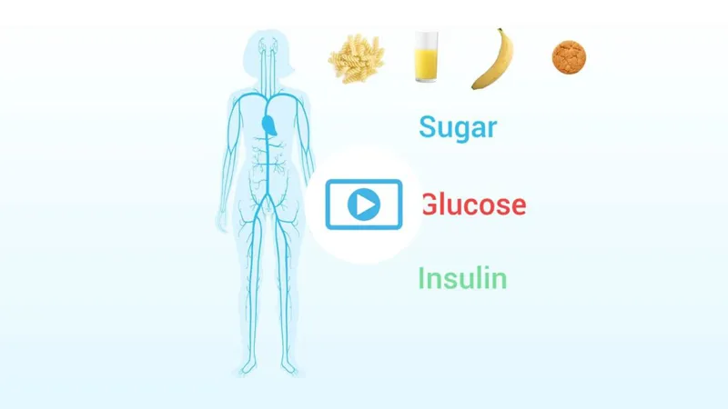 Appetite drive film - body outline with sugar, glucose and insulin