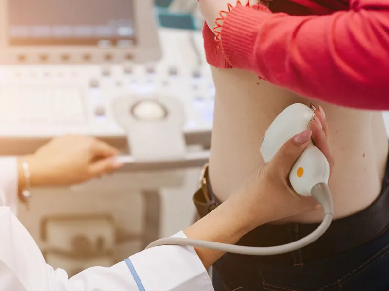 Ultrasound scan of a patient's kidneys