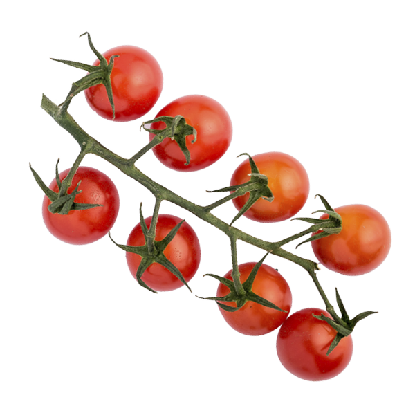 cherry tomatoes on the vine